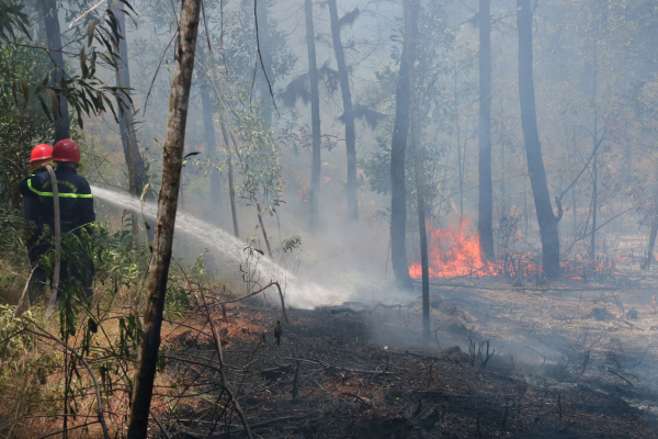 Liên tiếp xảy ra nhiều vụ cháy rừng tại Huế  -1