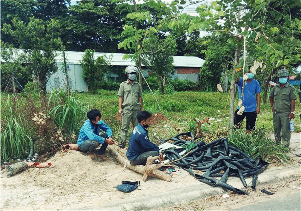 Rủ nhau đi cắt trộm cáp ngầm trong thời gian giãn cách  -0