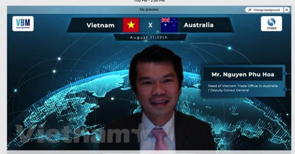 Vietnam, Australia seek to boost IT cooperation -0