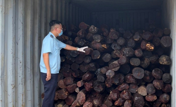 Gần 9 tấn gỗ giáng hương ngụy trang dụng cụ cầm tay -1