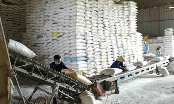 Over 130,000 tonnes of rice allocated to 24 pandemic-hit localities -0