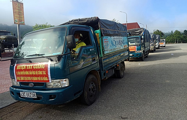 Đồng bào Cơ tu Quảng Nam hỗ trợ hơn 12 tấn nông sản cho người dân Đà Nẵng -0