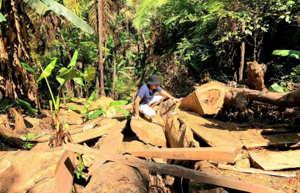 Vụ “Xã cắt xén tiền giao khoán bảo vệ rừng” tại Huế: Kỷ luật Chủ tịch xã và 2 cán bộ -0