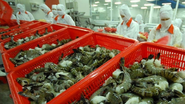 Shrimp exports witness robust growth in FTA markets -0