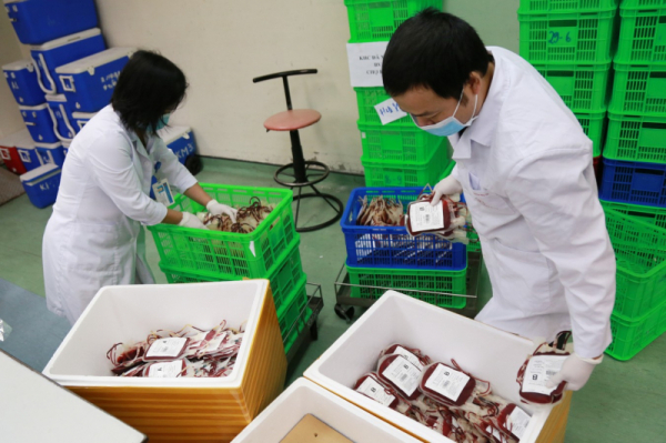2,000 units of blood delivered to Ho Chi Minh City -0