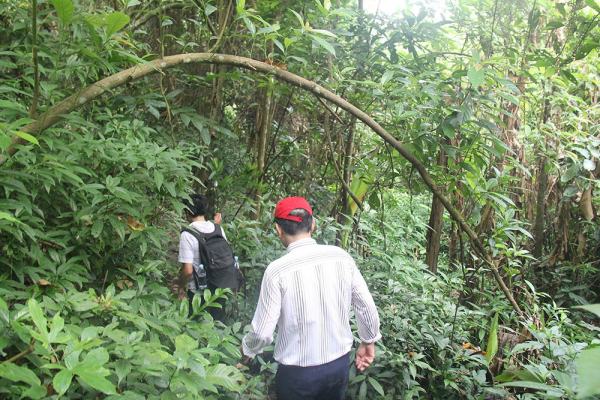 Kho tàng cổ trên danh sơn Bát Nhã -0