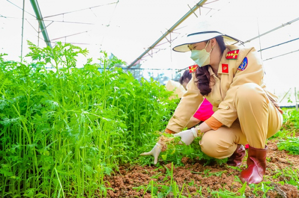 Công an Lâm Đồng hỗ trợ 37 tấn rau cho bà con vùng dịch -0