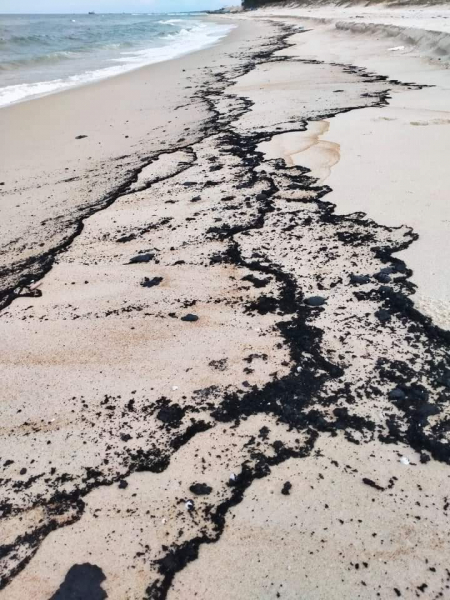 Vụ dầu loang ở bãi biển Quảng Bình đề nghị Cục Hàng Hải thuộc Bộ GTVT xác minh -0