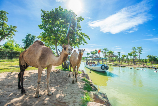 Top 3 điểm đến du lịch ven biển Việt Nam đang “hot” hiện nay -0