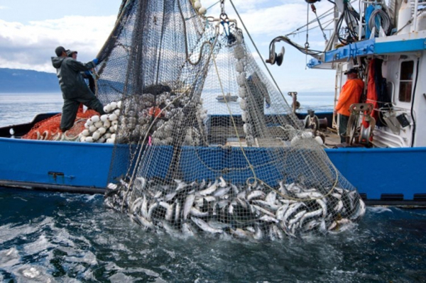 WTO bế tắc với thỏa thuận xóa bỏ trợ cấp nghề cá -0