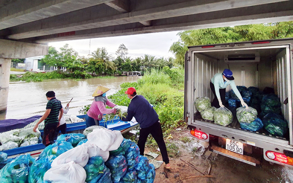 Bài toán “đầu ra” cho nông sản vùng đồng bằng sông Cửu Long -0