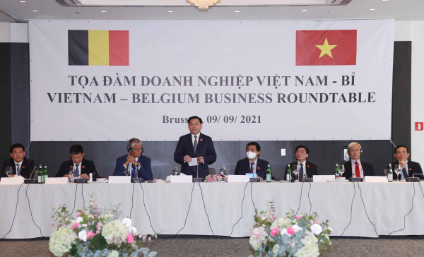 Việt Nam coi trọng phát triển quan hệ hợp tác với Bỉ -0