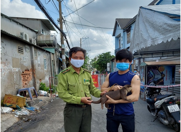 Nhiều người dân TP Hồ Chí Minh giao nộp các loại động vật quý hiếm giữa mùa dịch -0