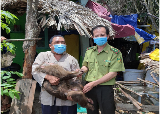 Nhiều người dân TP Hồ Chí Minh giao nộp các loại động vật quý hiếm giữa mùa dịch -0