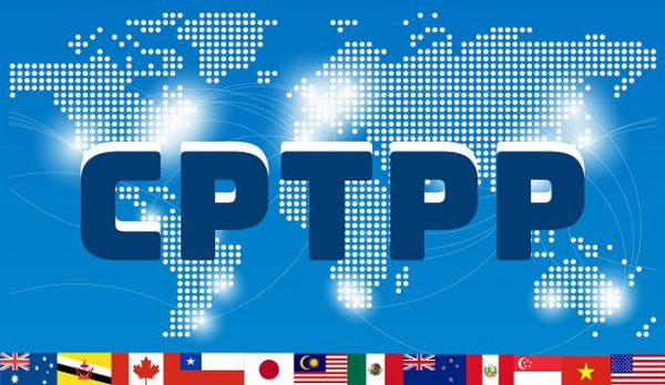 Vietnam willing to share information with China in joining CPTPP -0