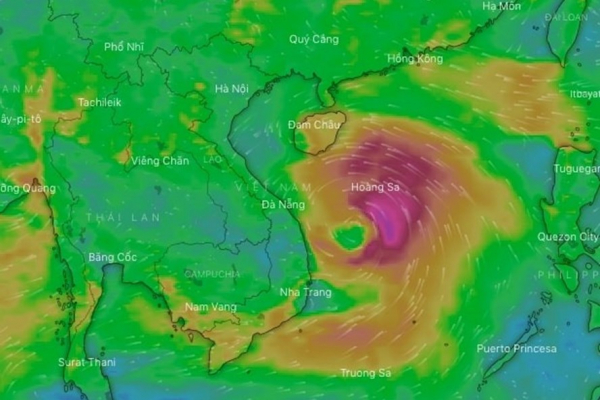 Public Security Forces asked to actively respond to tropical depression -0