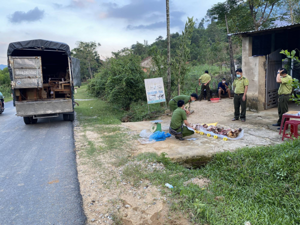 Quảng Ngãi: CSGT tuần tra phát hiện xe ô tô vận chuyển 6 cá thể linh trưởng -0