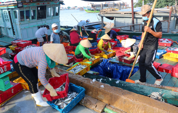 Ngư dân miền Trung kiên trì bám biển sản xuất -0
