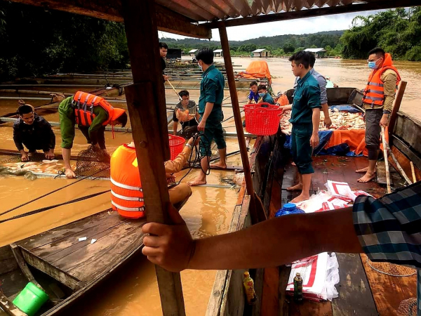 Hơn 750 tấn cá bè trên trên sông Đồng Nai bị chết do Thủy điện xả lũ và mưa nhiều -0