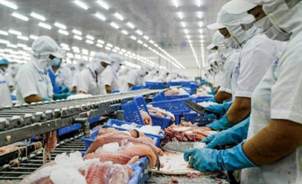 Nỗ lực khắc phục cảnh báo “thẻ vàng” hải sản khi xuất khẩu vào EU -0