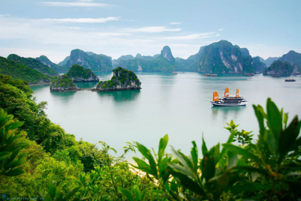 Vietnam to welcome foreign tourists this month  -0