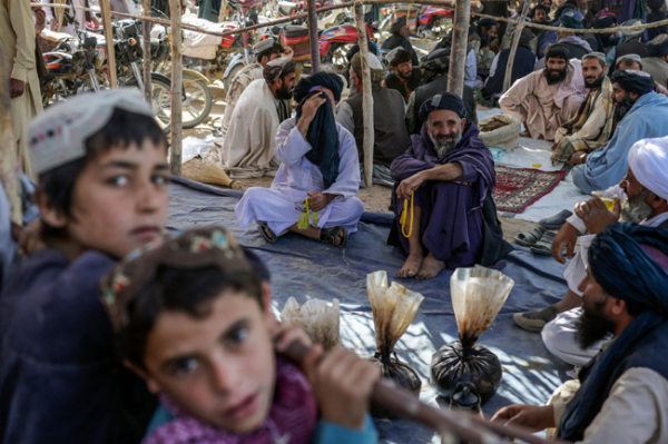 Taliban liệu thể xóa bỏ có “nền kinh tế thuốc phiện” ở Afghanistan? -0