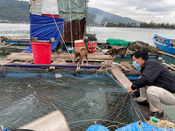 Đà Nẵng:  Mạnh tay xử lý tình trạng nuôi thủy sản lồng bè trái phép gây ô nhiễm môi trường  -1