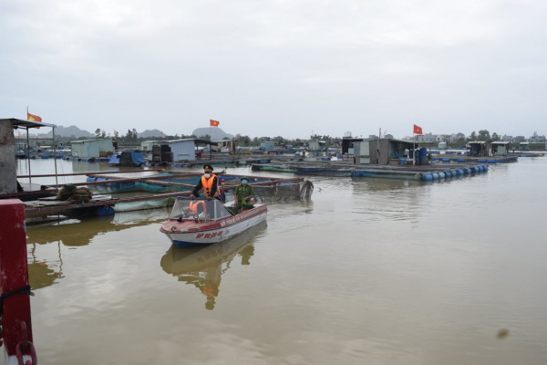 Đà Nẵng:  Mạnh tay xử lý tình trạng nuôi thủy sản lồng bè trái phép gây ô nhiễm môi trường  -0