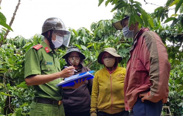 Giữ bình yên cho mùa thu hoạch cà phê ở Tây Nguyên -0