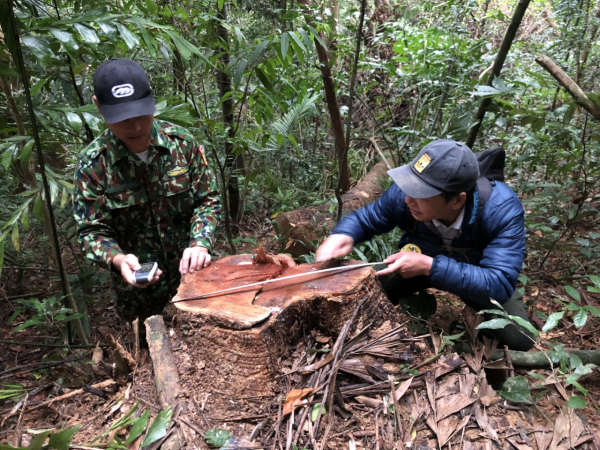 Phóng viên Báo CAND tiếp tục phát hiện nhiều điểm rừng Khu bảo tồn thiên nhiên Bắc Hướng Hoá bị tàn sát -6