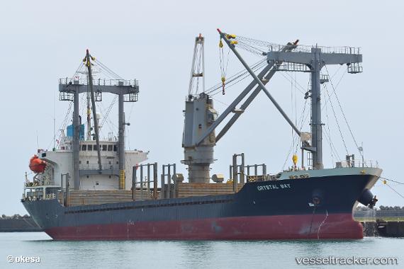 Cứu nạn thành công 17 thuyền viên Việt Nam trên tàu hàng gặp nạn ở vùng biển nước ngoài -0