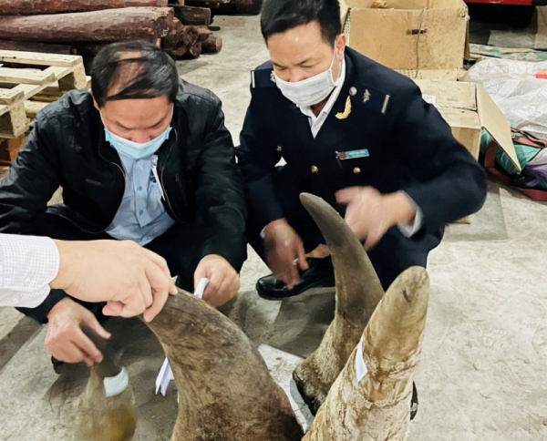 Vietnam customs seize almost 20kg of rhino horns in Hai Phong -0