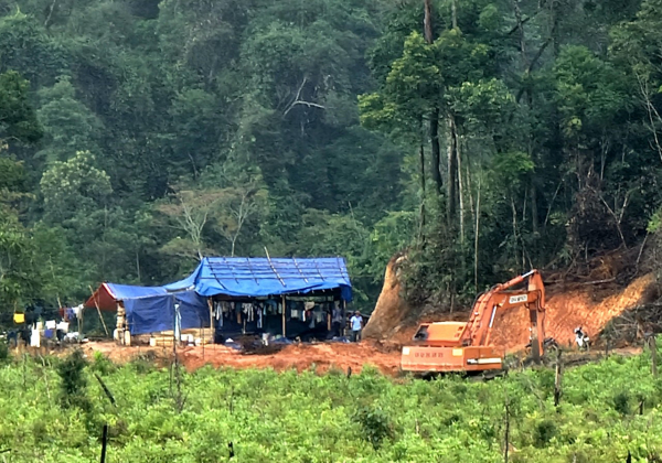 Phá rừng tan nát để khai thác vàng ngay gần chốt bảo vệ rừng -1