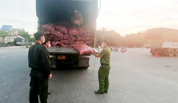 Bắt 2 xe tải vận chuyển 42 tấn hạt cà phê không rõ nguồn gốc -0