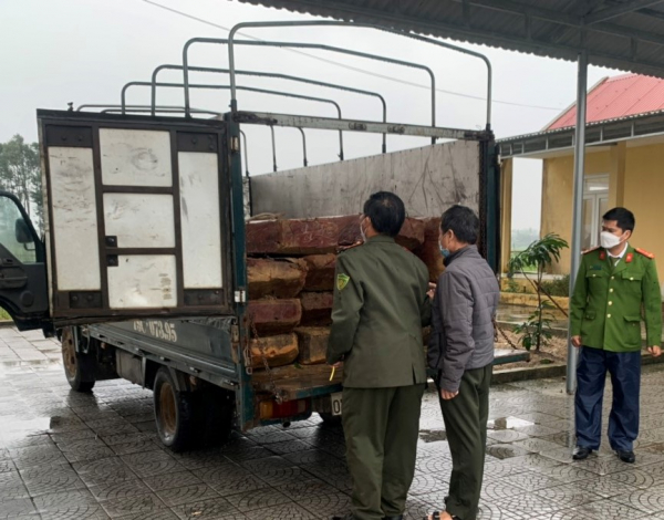 Theo dấu xe tải, phát hiện số lượng lớn gỗ lậu tại xưởng cưa -0