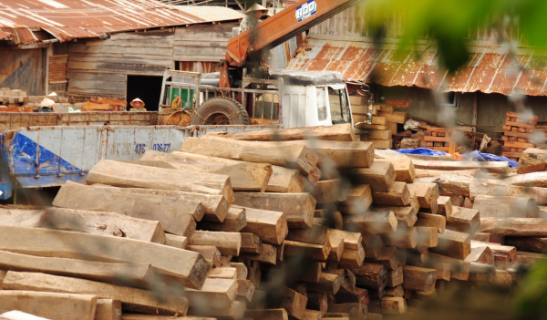 Vụ tuồn gỗ tang vật tại Cục thi hành án dân sự Đắk Lắk:  Kỷ luật nhiều cán bộ, chưa xử lý lãnh đạo vì… đang bị bệnh -0