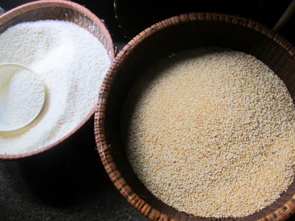gạo nếp hèo sau khi được rang chín, nguyên liệu chính làm nên những phong bánh khảo ngon nổi tiếng của người tày bản thông huề.jpg -0