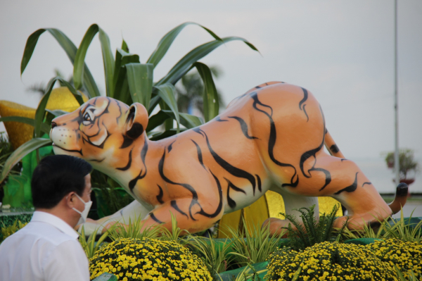 “Gia đình hổ” ở Bình Định thu hút đông đảo người dân đến tham quan, check-in -0