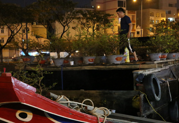 Dân TP đổ xô đến chợ hoa “trên bến dưới thuyền” mua hoa chưng Tết -0