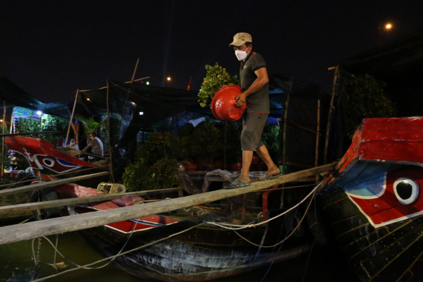 Dân TP đổ xô đến chợ hoa “trên bến dưới thuyền” mua hoa chưng Tết -3