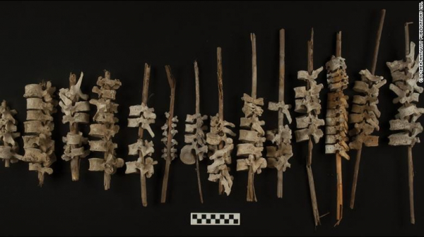 Phát hiện kỳ thú từ gần 200 mẫu xương người được tìm thấy tại Peru -0
