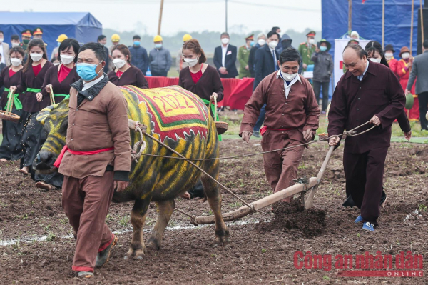 President Nguyen Xuan Phuc performs traditional New Year ploughing festival  -5