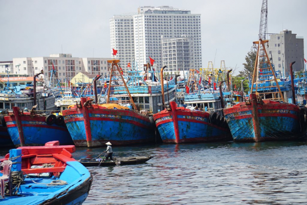 Ngư trường Đà Nẵng tất bật vươn khơi, đón lộc biển đầu năm  -0