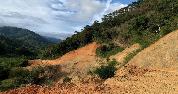 Báo cáo Bộ Quốc phòng vụ phá rừng đặc dụng làm đường khi chưa chuyển đổi -0