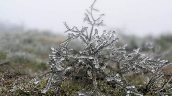 Cao Bang: Frost covers top of Mount Phja Oac -1