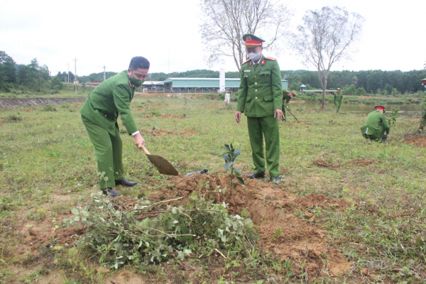Trại giam Bình Điền ra quân trồng hơn 16 nghìn cây xanh -0