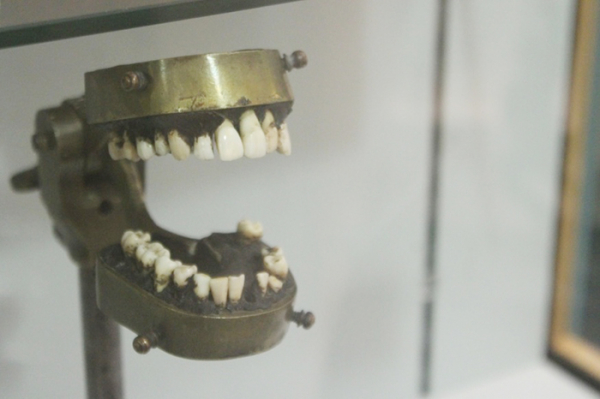 Hàm răng con người: Nơi văn hóa tranh đua cùng tiến hóa -0