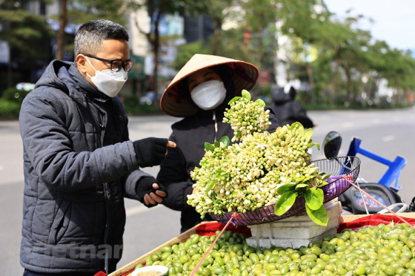 Hanoi filled with scent of grapefruit flowers -3