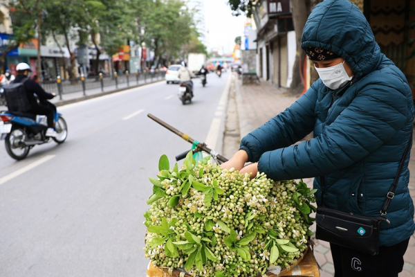 Hanoi filled with scent of grapefruit flowers -4