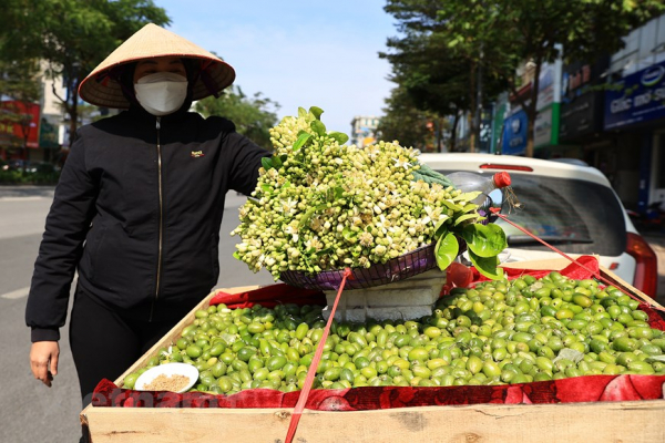 Hanoi filled with scent of grapefruit flowers -5